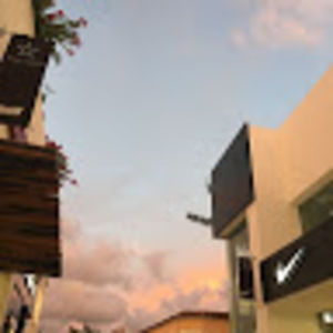 Meet your Posher, Bridgette